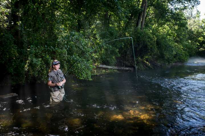 5 Best Fishing Spots in Arkansas
