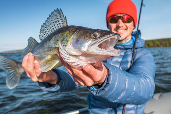 Fall Fishing: 6 Species to Target This Autumn