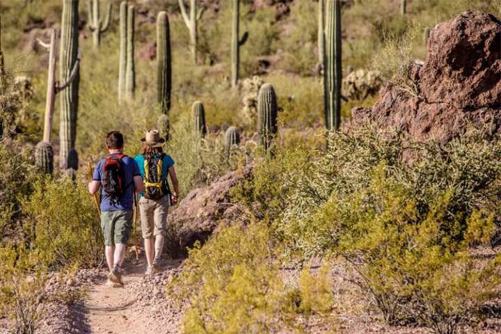 5 Energizing Hikes in Arizona 