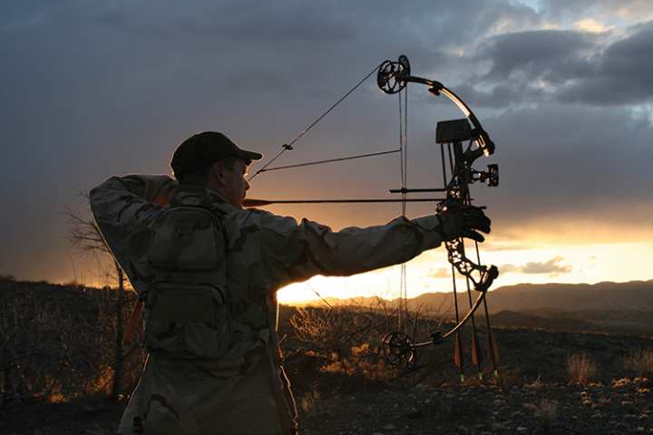 Bowhunting Basics: Information to Know Before Stepping Afield