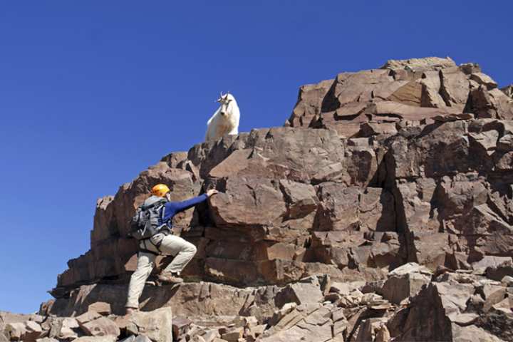 5 Cool Rock Climbing Spots in Colorado 