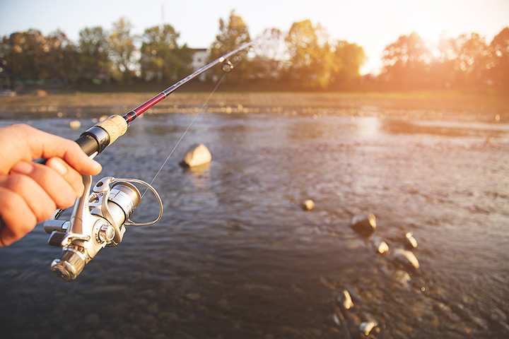 5 Best Fishing Spots in and Around Washington, D.C. 