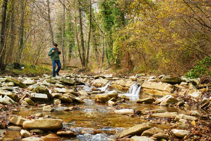 3 Stunning Foliage Hikes in Florida