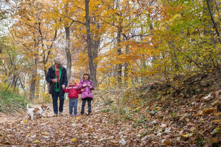 5 Stunning Foliage Hikes in Georgia