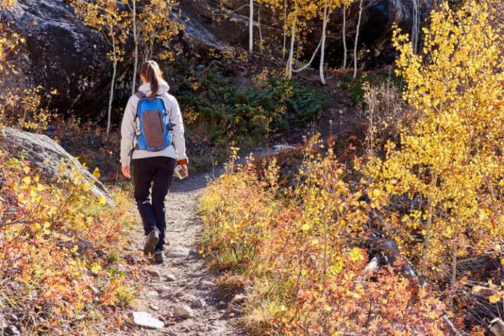 8 Best Outdoor Fall Activities in Illinois