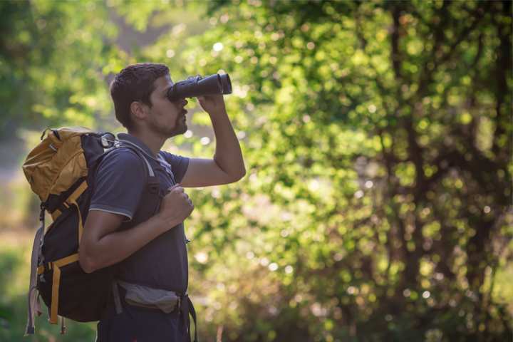 5 Best Birdwatching Hikes in Indiana