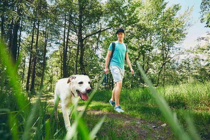 10 Best Dog-Friendly Hiking Trails in Indiana!