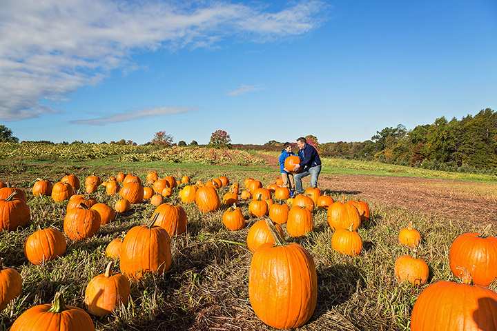 8 Best Outdoor Fall Activities in Kansas