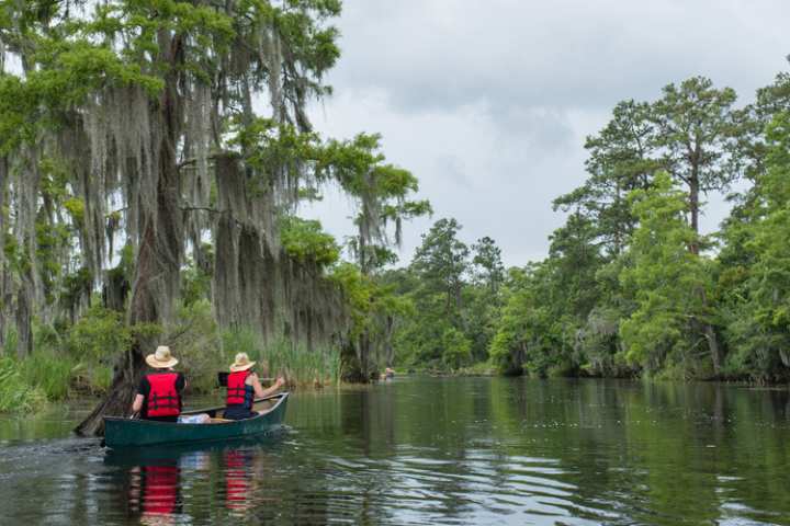 5 Excellent Places for Beginners to Kayak in Louisiana