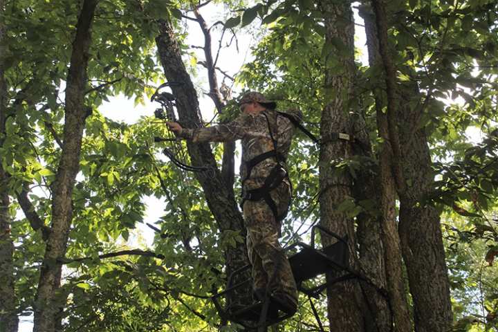 Treestand Safety for Young Hunters