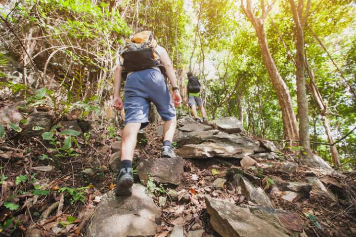 5 Great Hiking Trails in Maryland