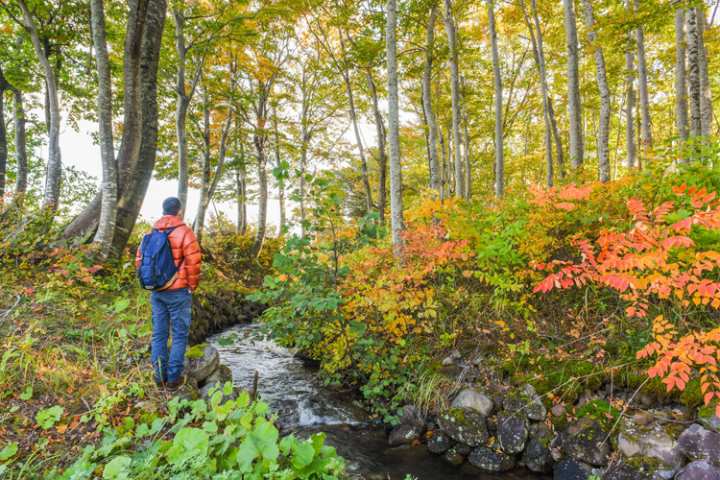 5 Stunning Foliage Hikes in Maine