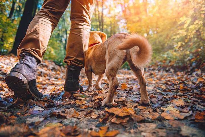 8 Best Outdoor Fall Activities in North Carolina