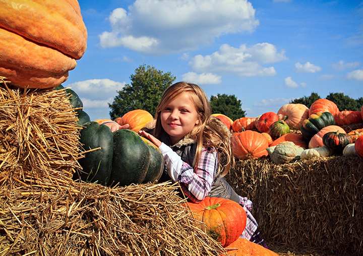 7 Best Outdoor Fall Activities in Oklahoma