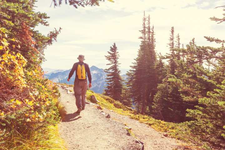 5 Stunning Foliage Hikes in Oregon