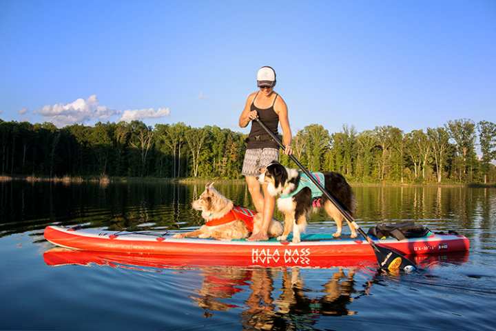 Paddleboarding Made Easy—Get Started Now!