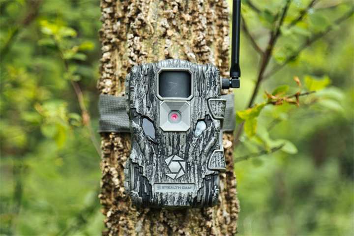 Trail Cam Placement Strategies for Wildlife Viewing
