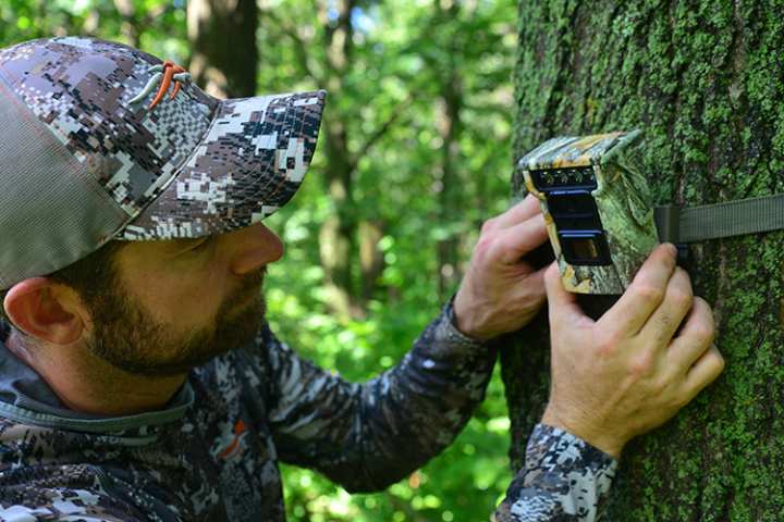 Trail Cameras: How to Choose the Best for Deer Hunting