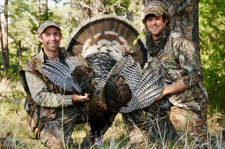 Turkey Hunting—How to Get Started The Easy Way