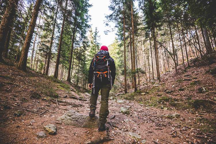 Start Your Trek: 10 Best Hiking Retailers in Colorado