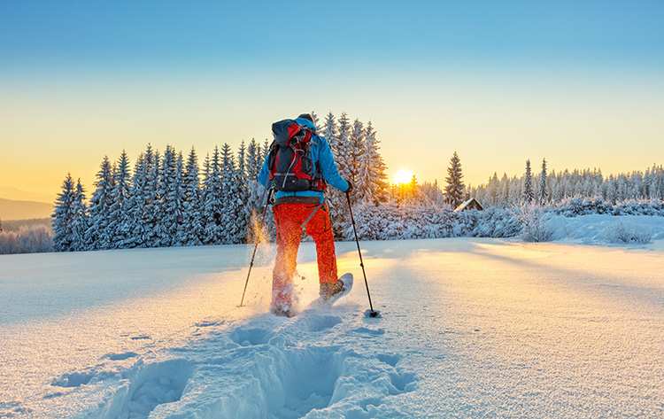 Snowshoeing: Get Your Family Started The Easy Way
