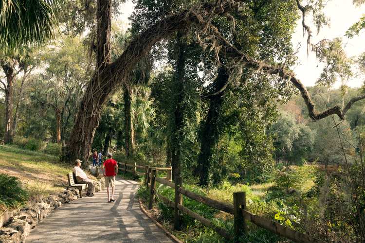 5 Great Hiking Trails in Florida
