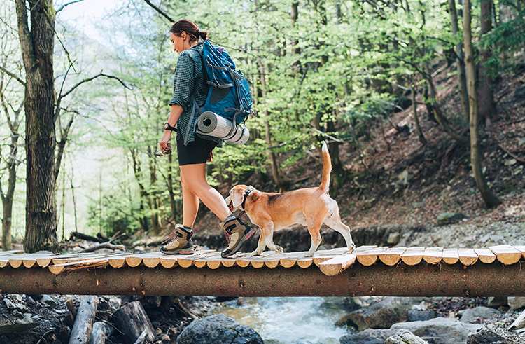 10 Best Dog-Friendly Hiking Trails in Idaho!