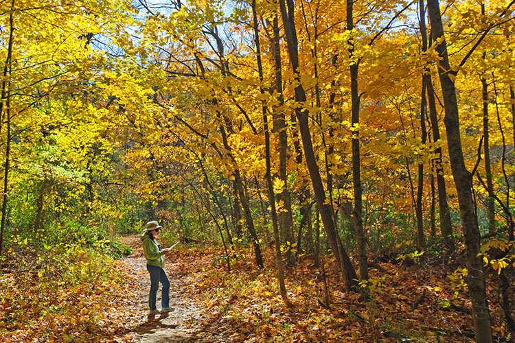 5 Stunning Foliage Hikes in Indiana