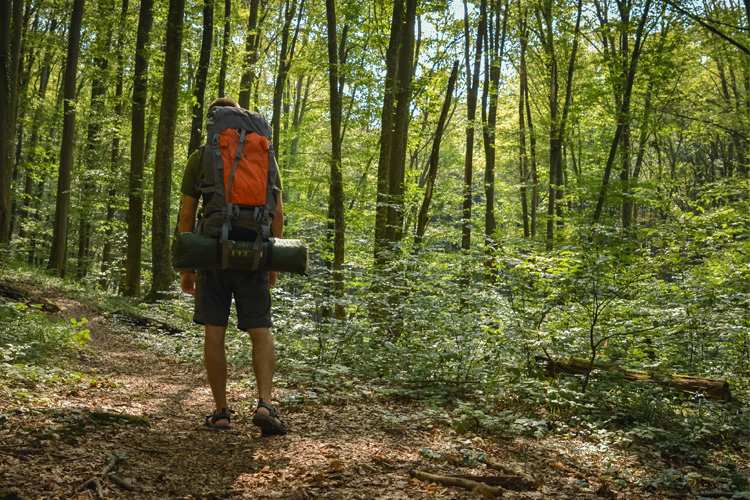 Start Your Trek: 7 Best Hiking Retailers in Mississippi 