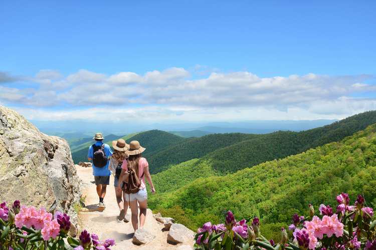 5 Beautiful Scenic Hikes in North Carolina 