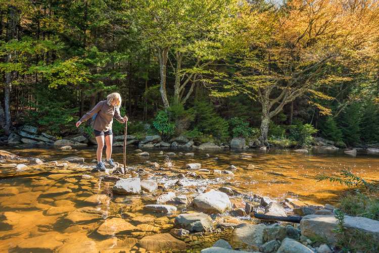 5 Stunning Foliage Hikes in New Mexico