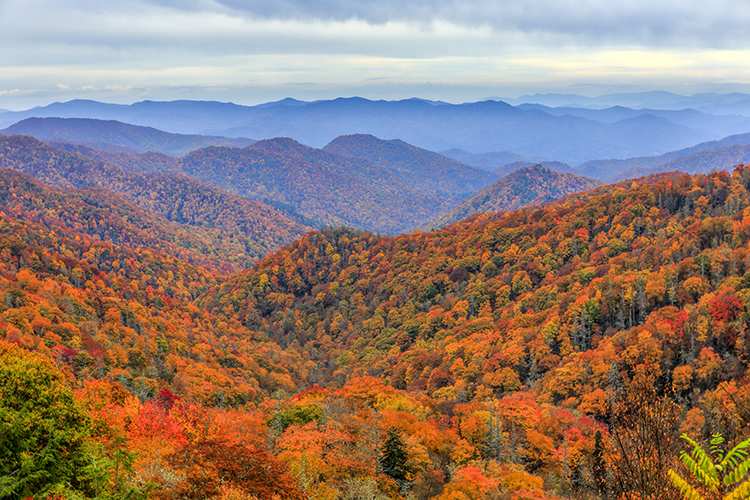 5 Fall Foliage Hikes for the Best Leaf Peeping 