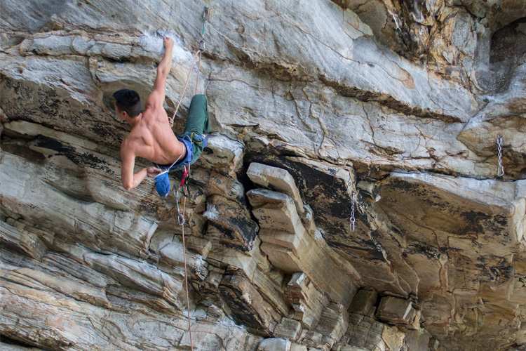 5 Cool Rock Climbing Spots in Virginia