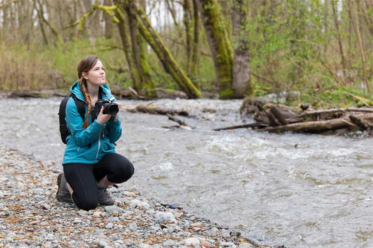 5 Wonderful Birdwatching Hikes in Washington State